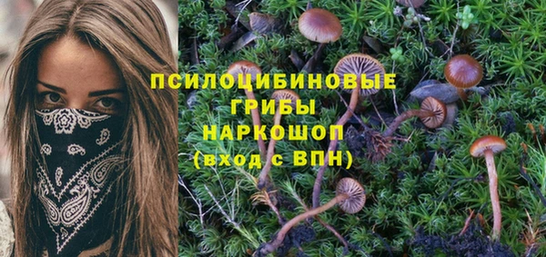 не бодяженный Армянск
