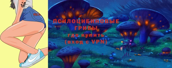 a pvp Аркадак