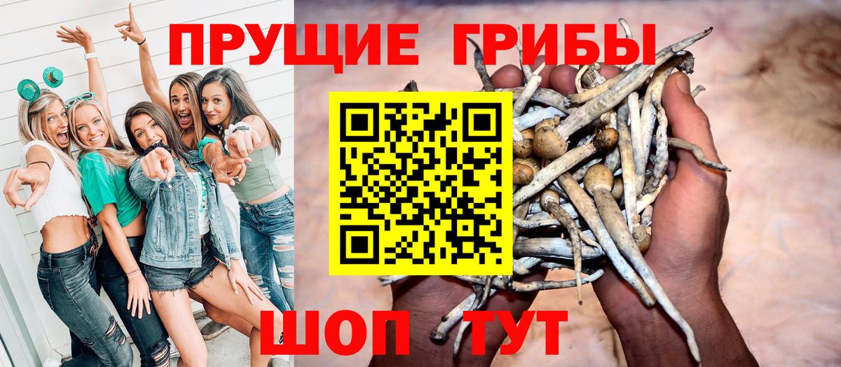 Галлюциногенные грибы прущие грибы Сатка