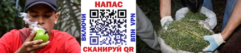 Бошки марихуана MAZAR  Сатка 
