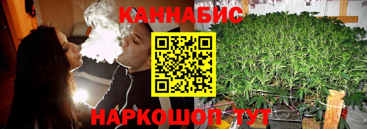 Бошки марихуана планчик Сатка